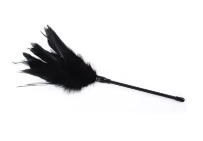 Перьевой тиклер — купить в Алматы