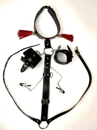 Сбруя из натуральной кожи для фиксации шеи и рук — купить в #REGION_NAME#