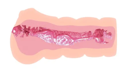 Мастурбатор с эффектом смазки от Crazy Bull — купить в Алматы 7