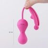 Превью Тренажер Кегеля Kegel Master 2 от  Magic Motion — купить в Алматы 6