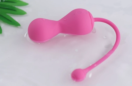 Тренажер Кегеля Kegel Master 2 от  Magic Motion — купить в Алматы 7
